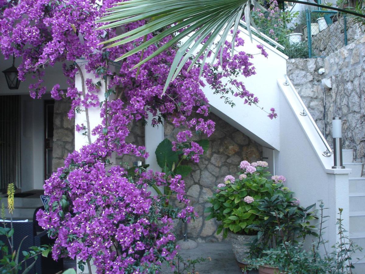 Appartement Zulic *