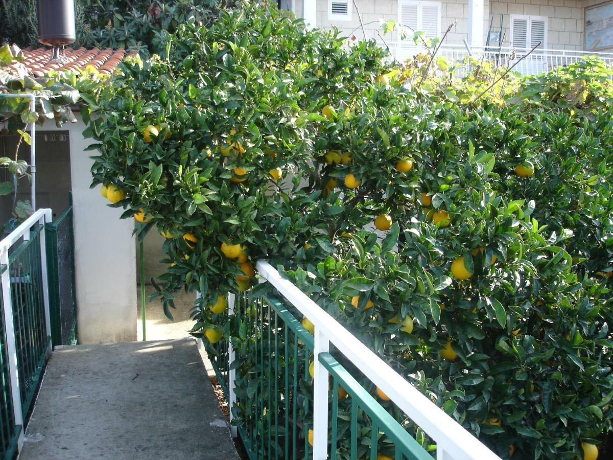 Zulic Appartement Cavtat