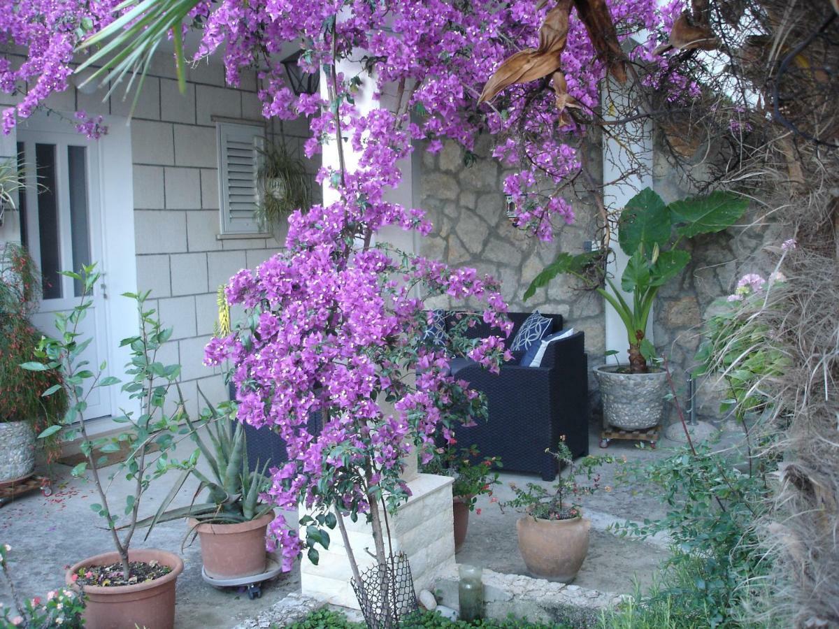 Zulic Appartement *